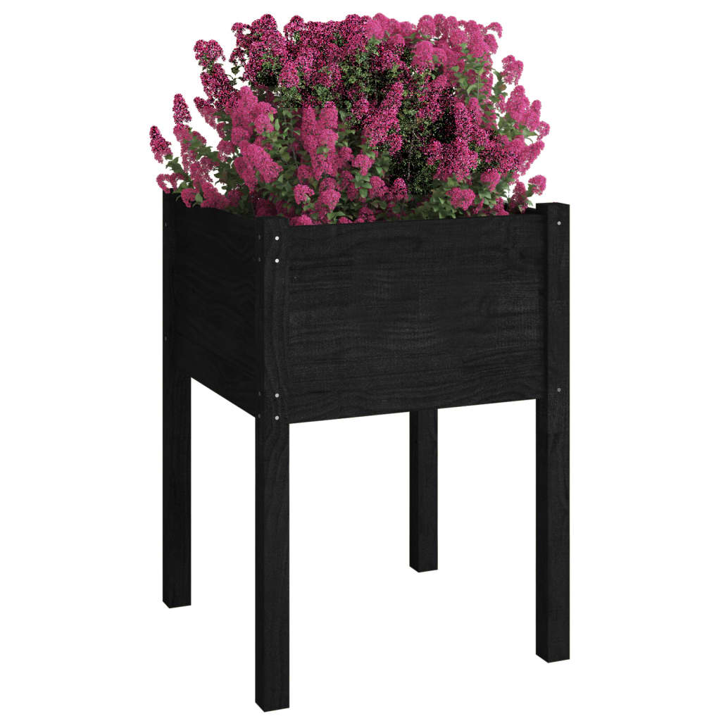 Garden Planter Black 50x50x70 cm Solid Pinewood