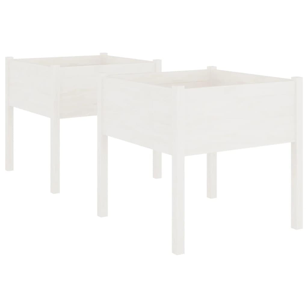 Garden Planters 2 pcs White 70x70x70 cm Solid Pinewood