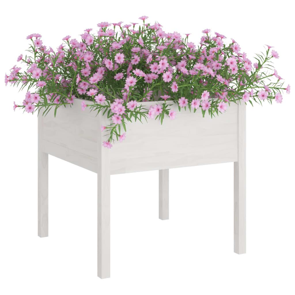 Garden Planters 2 pcs White 70x70x70 cm Solid Pinewood