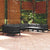 10 Piece Garden Lounge Set with Cushions Black Solid Pinewood