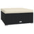 10 Piece Garden Lounge Set with Cushions Black Poly Rattan