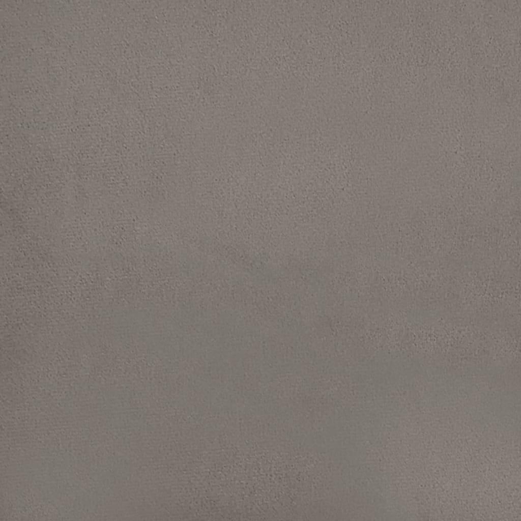 Throw Pillows 2 pcs Light Grey 40x40 cm Velvet