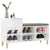 Shoe Cabinet High Gloss White 102x36x60 cm Engineered Wood