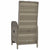 Outdoor Reclining Chairs with Cushions 2 pcs Poly Rattan Grey