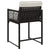 Garden Chairs with Cushions 4 pcs Black Poly Rattan