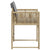 Garden Chairs with Cushions 4 pcs Mix Beige Poly Rattan