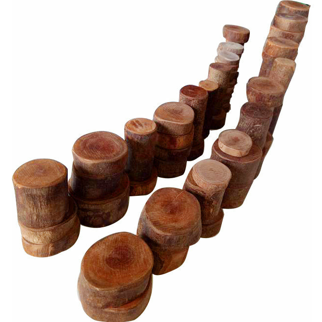 Tree Counting Set 70 pcs