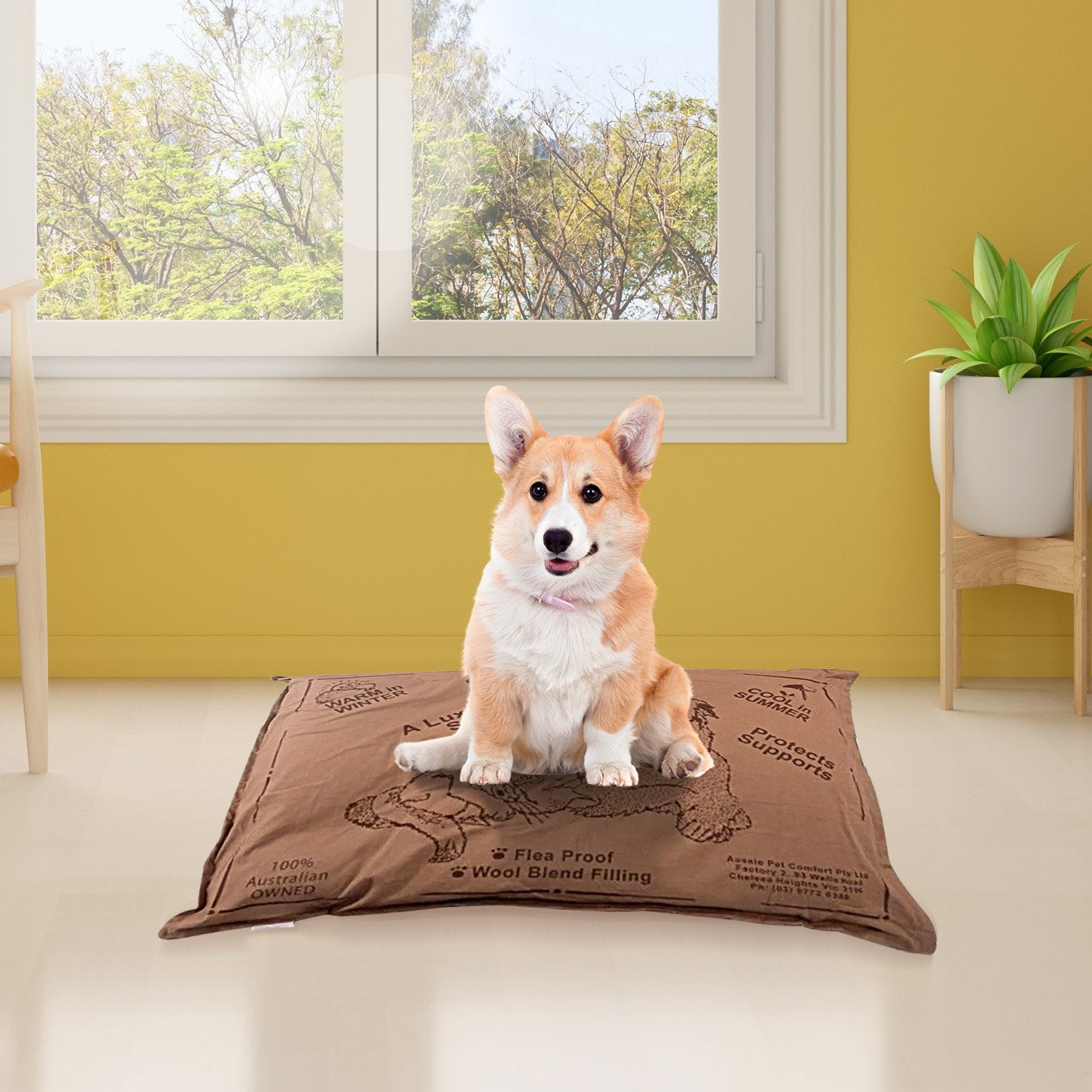 Aussie Made Comfy Pet Futon Dog 74cm Wool Blend Small - Brown