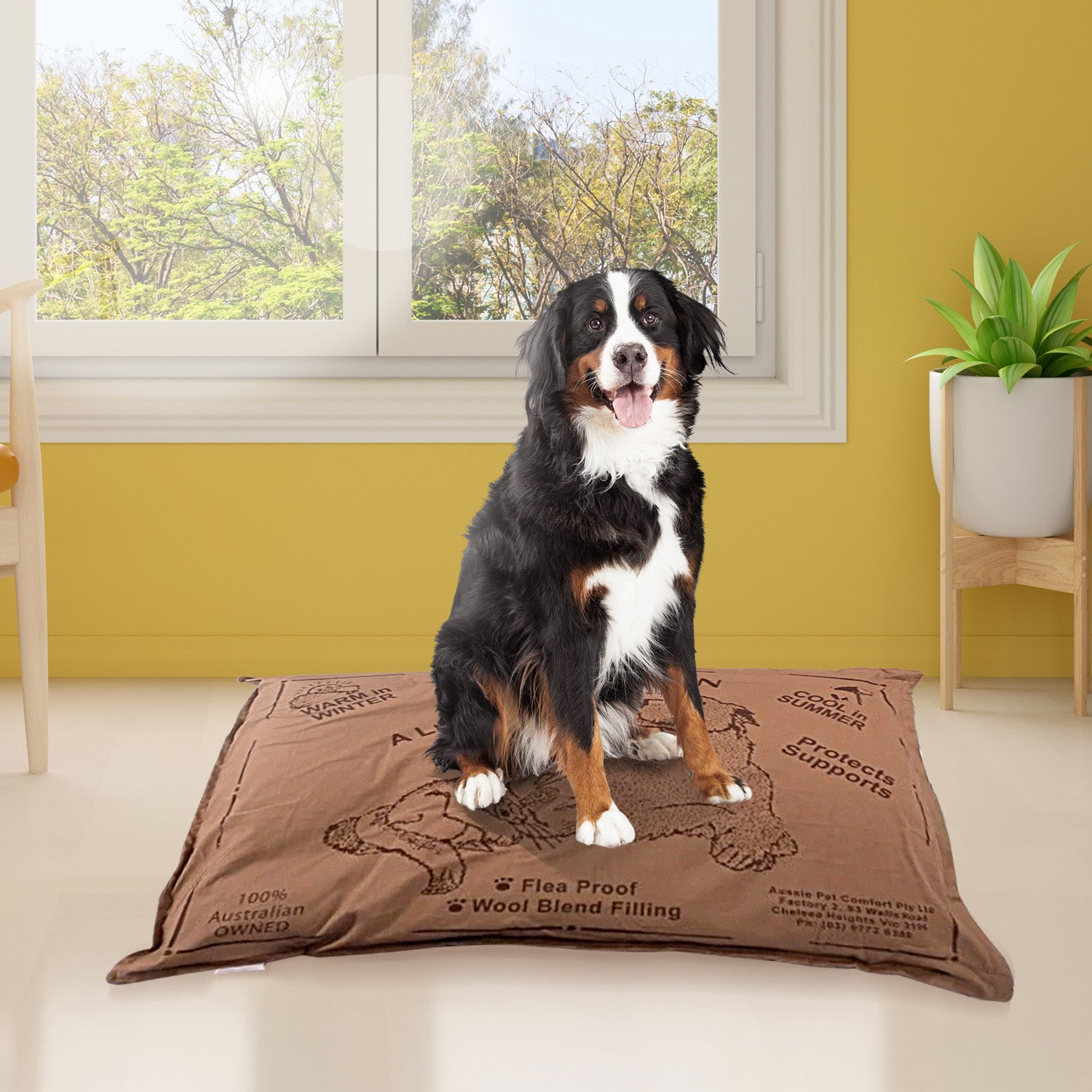 Aussie Made Comfy Pet Futon Dog 102cm Wool Blend Large - Brown