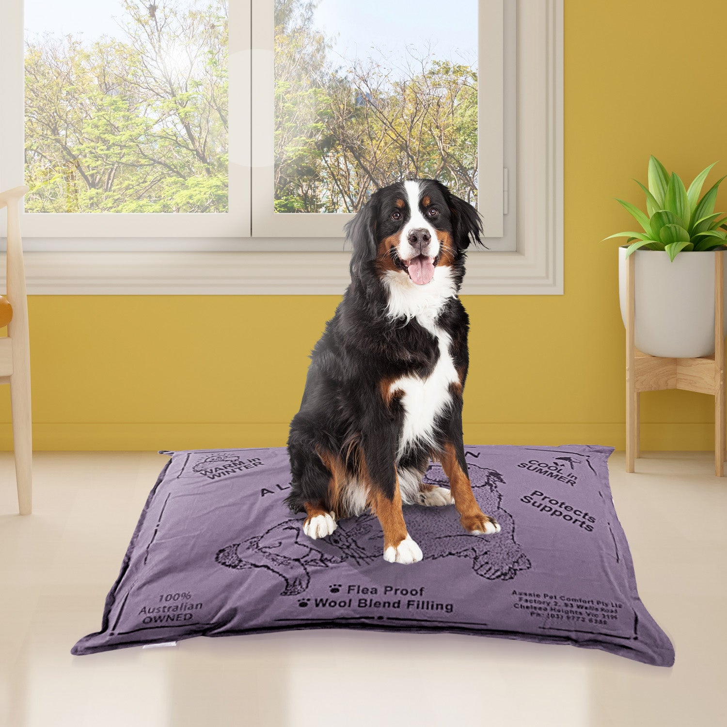 Aussie Made Comfy Pet Futon Dog 102cm Wool Blend Large - Dusk