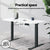 Artiss Standing Desk Desktop Motorised Electric Sit Stand Table White