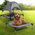 PaWz Pet Trampoline Bed Dog Cat Elevated Hammock With Canopy Raised Heavy Duty S