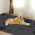 PaWz 4x Washable Dog Puppy Training Pad Pee Puppy Reusable Cushion Jumbo Grey