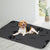 PaWz 2x Washable Dog Puppy Training Pad Pee Puppy Reusable Cushion XXL Grey