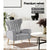 Artiss Armchair Lounge Accent Chairs Armchairs Chair Velvet Sofa Grey Seat