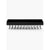 Wall Mount Hanging Jewellery Organiser Holder with 23 Hooks (Black)