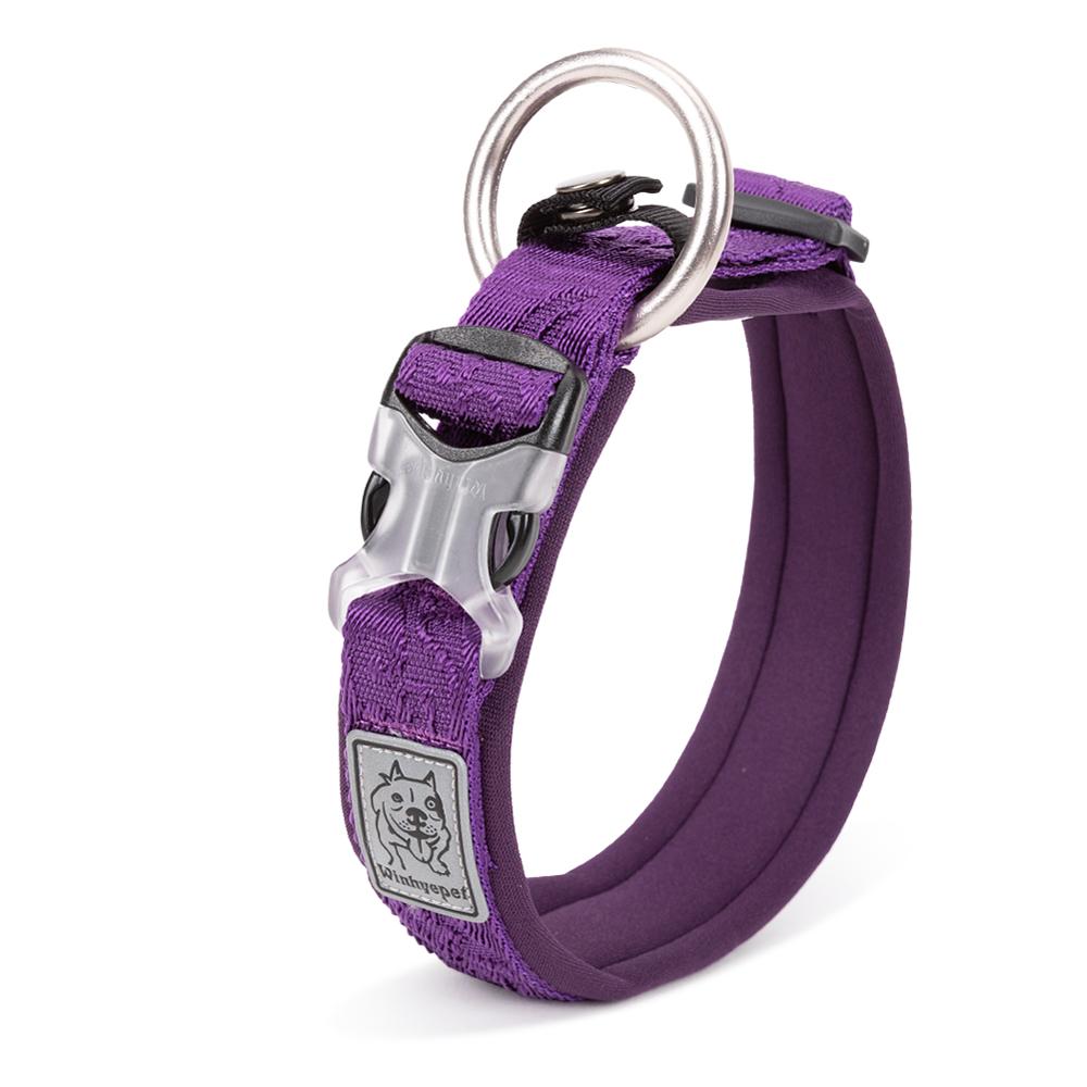 Whinhyepet Collar purple - XS