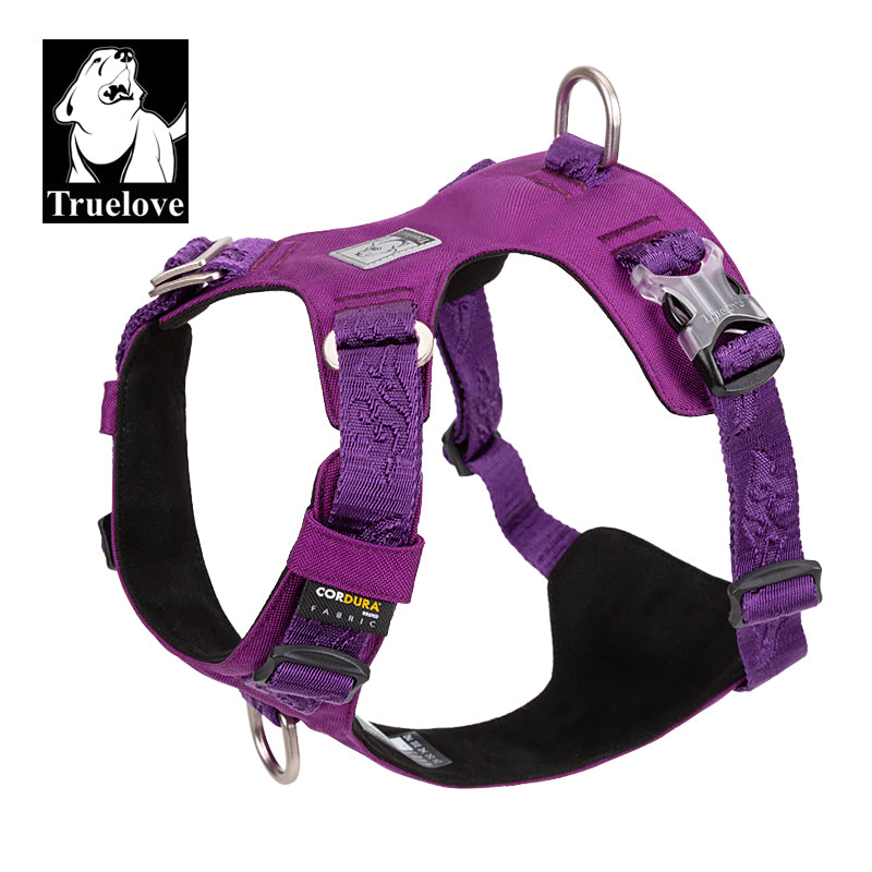 Lightweight Harness Purple XL