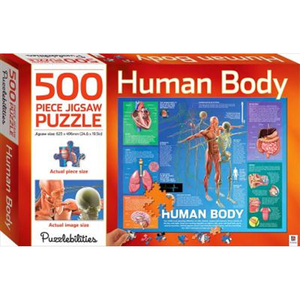 Human Body 500 Piece Jigsaw Puzzle