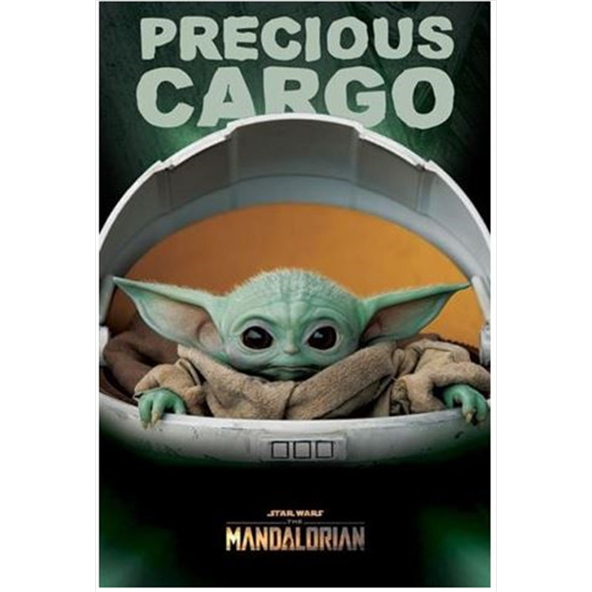 Star Wars: The Mandalorian - Precious Cargo