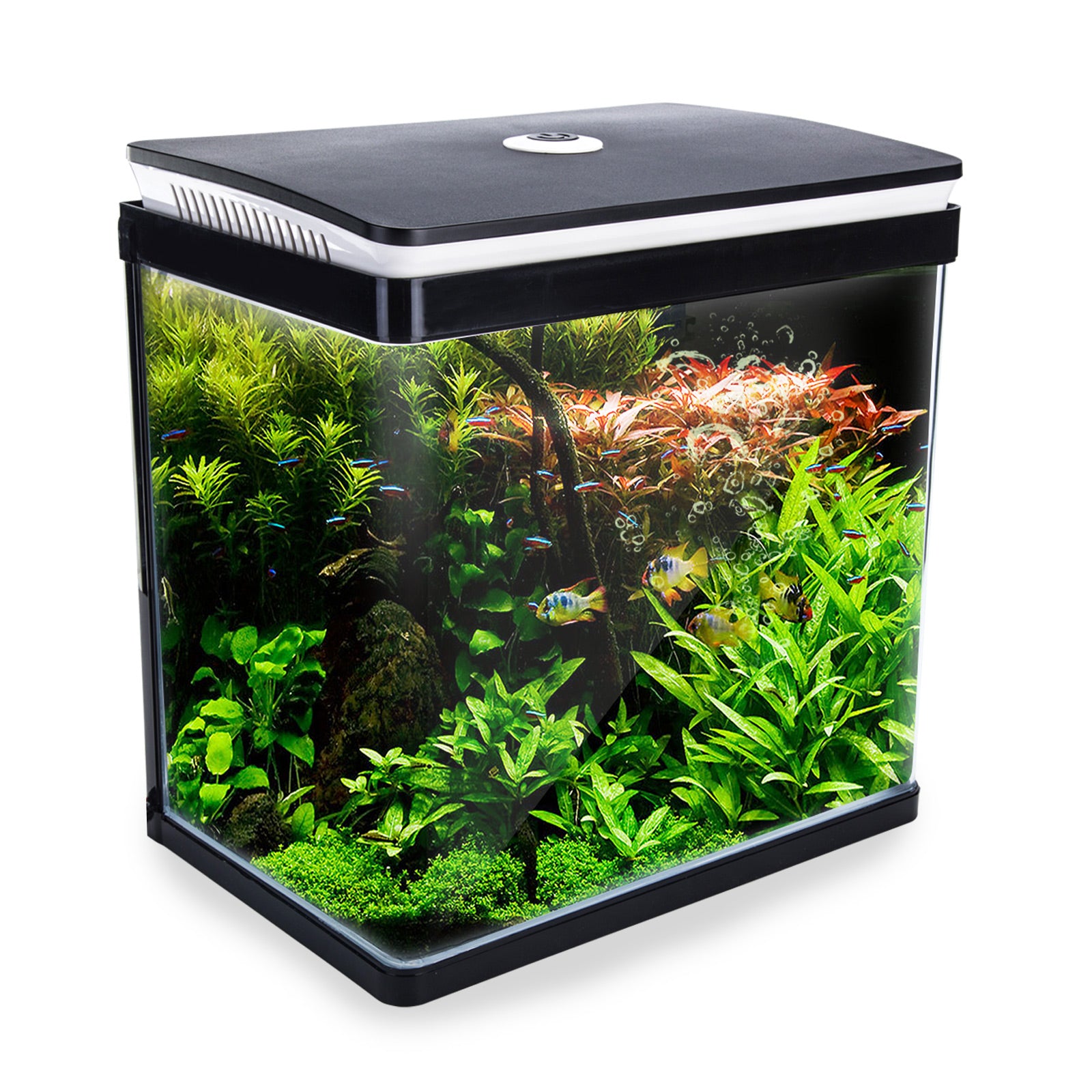 Dynamic Power Aquarium Fish Tank 30L Curved Glass RGB LED