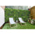 1 SQM Artificial Plant Wall Grass Panels Vertical Garden Foliage Tile Fence 1X1M Green