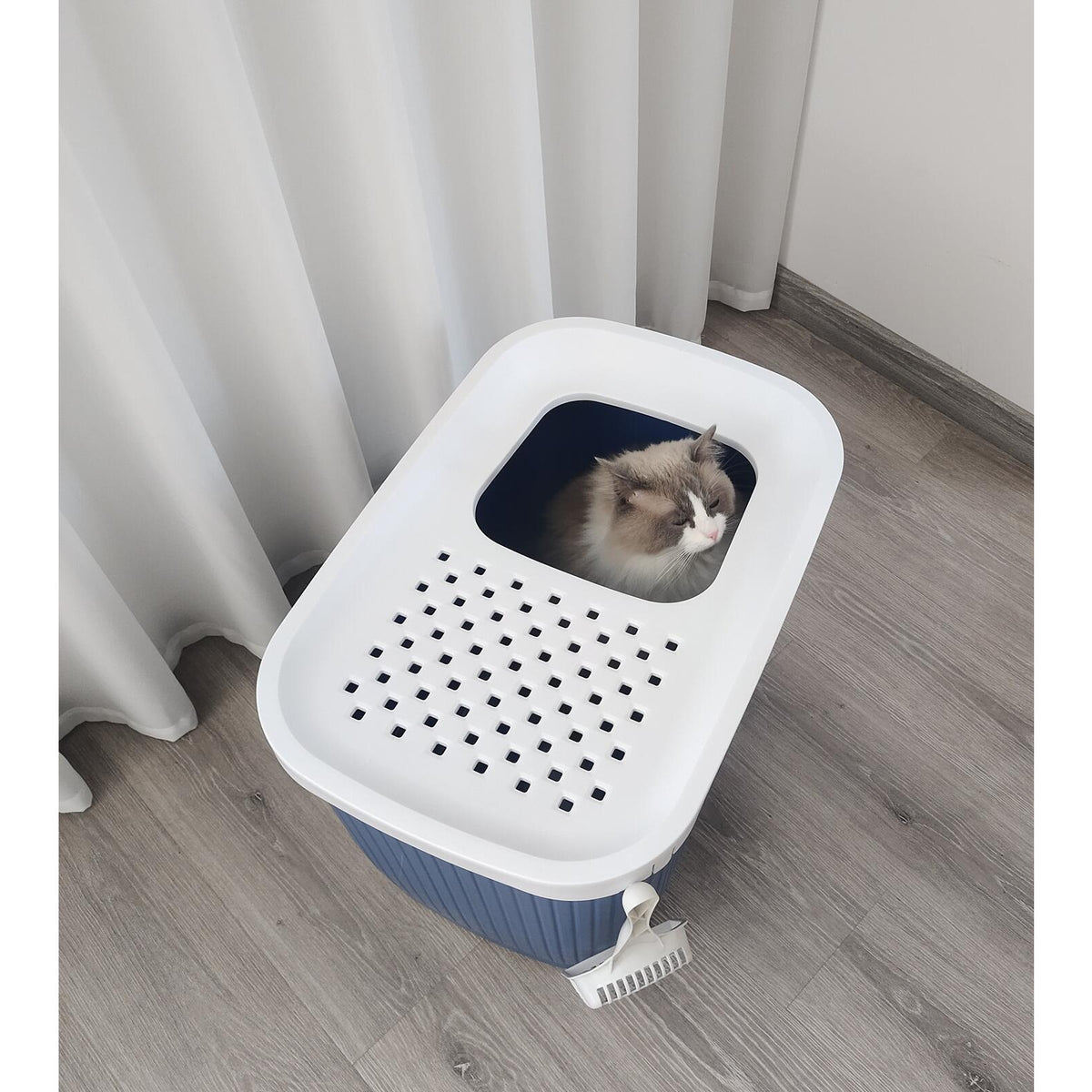 XXL Top Entry Cat Litter Box No Mess Large Enclosed Covered Kitty Tray Dark Blue