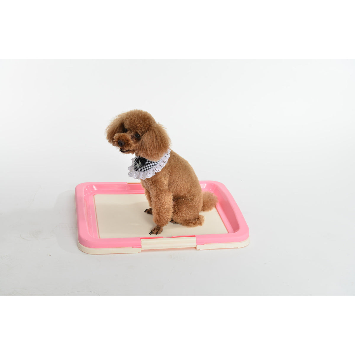 Large Portable Dog Potty Training Tray Pet Puppy Toilet Trays Loo Pad Mat Pink