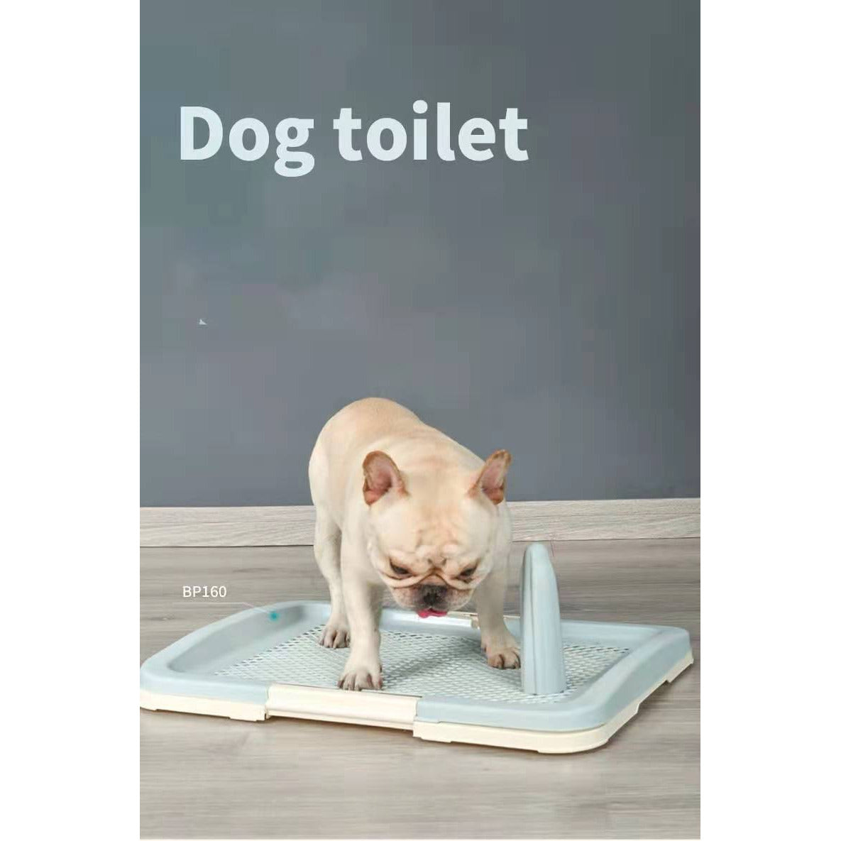 Medium Portable Dog Potty Training Tray Pet Puppy Toilet Trays Loo Pad Mat Blue