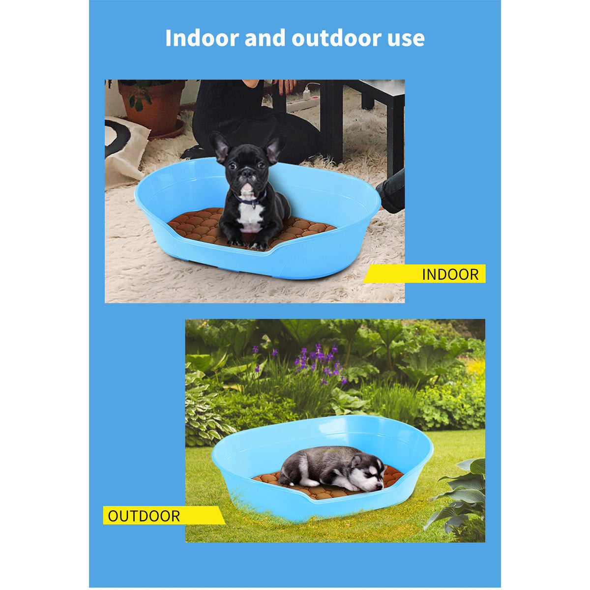 Pet Bed Small Plastic Dog Bedding Sleeping Resting Washable Basket Blue