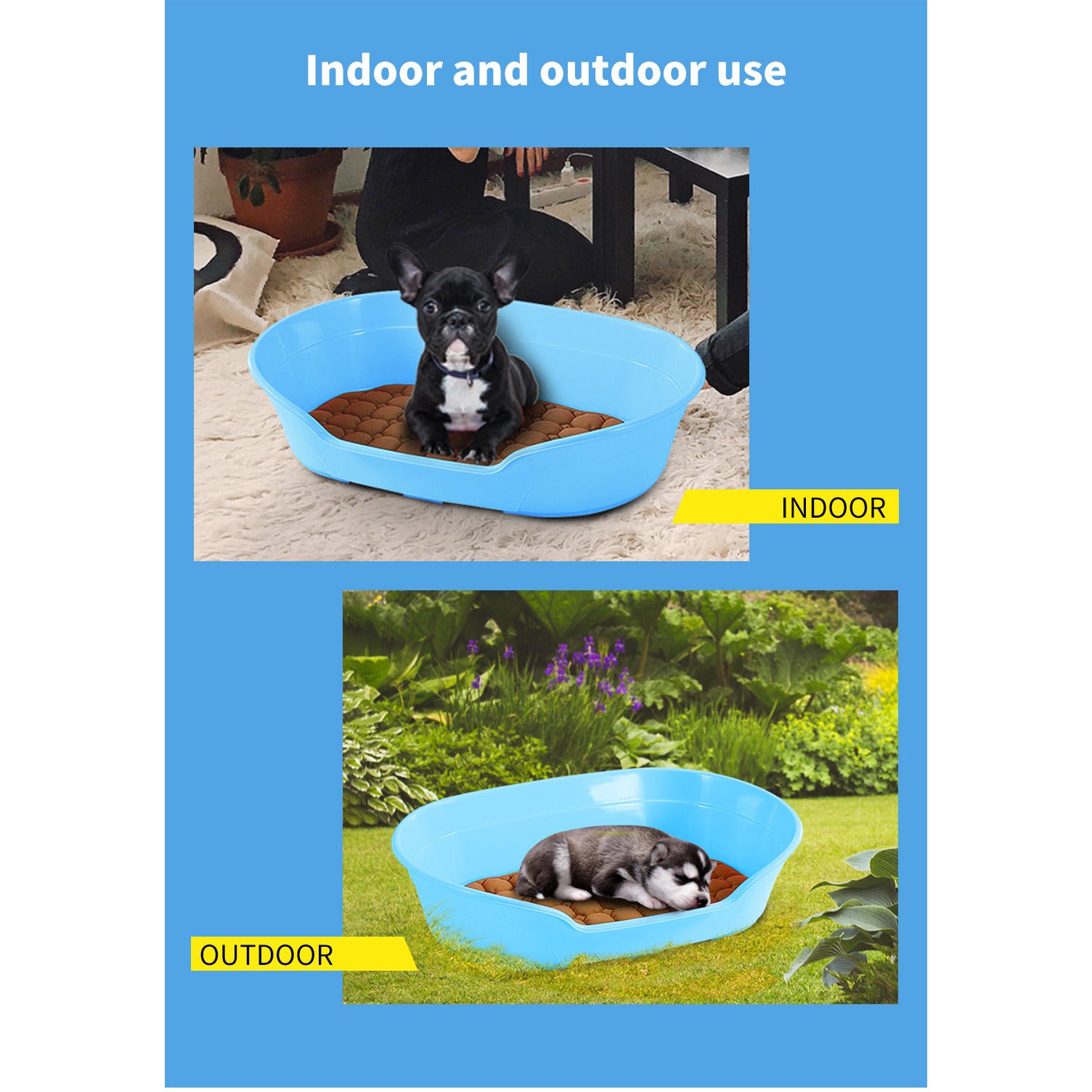 Pet Bed Small Plastic Dog Bedding Sleeping Resting Washable Basket Blue