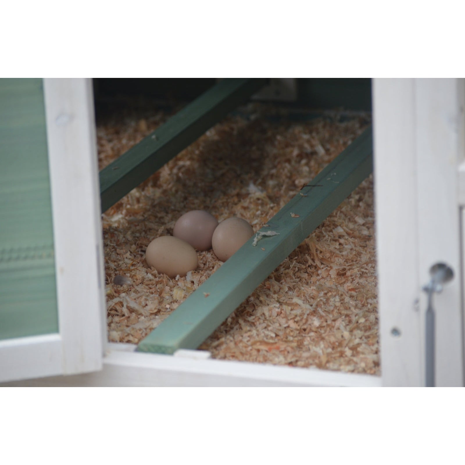 Green Large Chicken Coop Rabbit Hutch Ferret Guinea Pig Cage Hen Chook Cat Kitten House