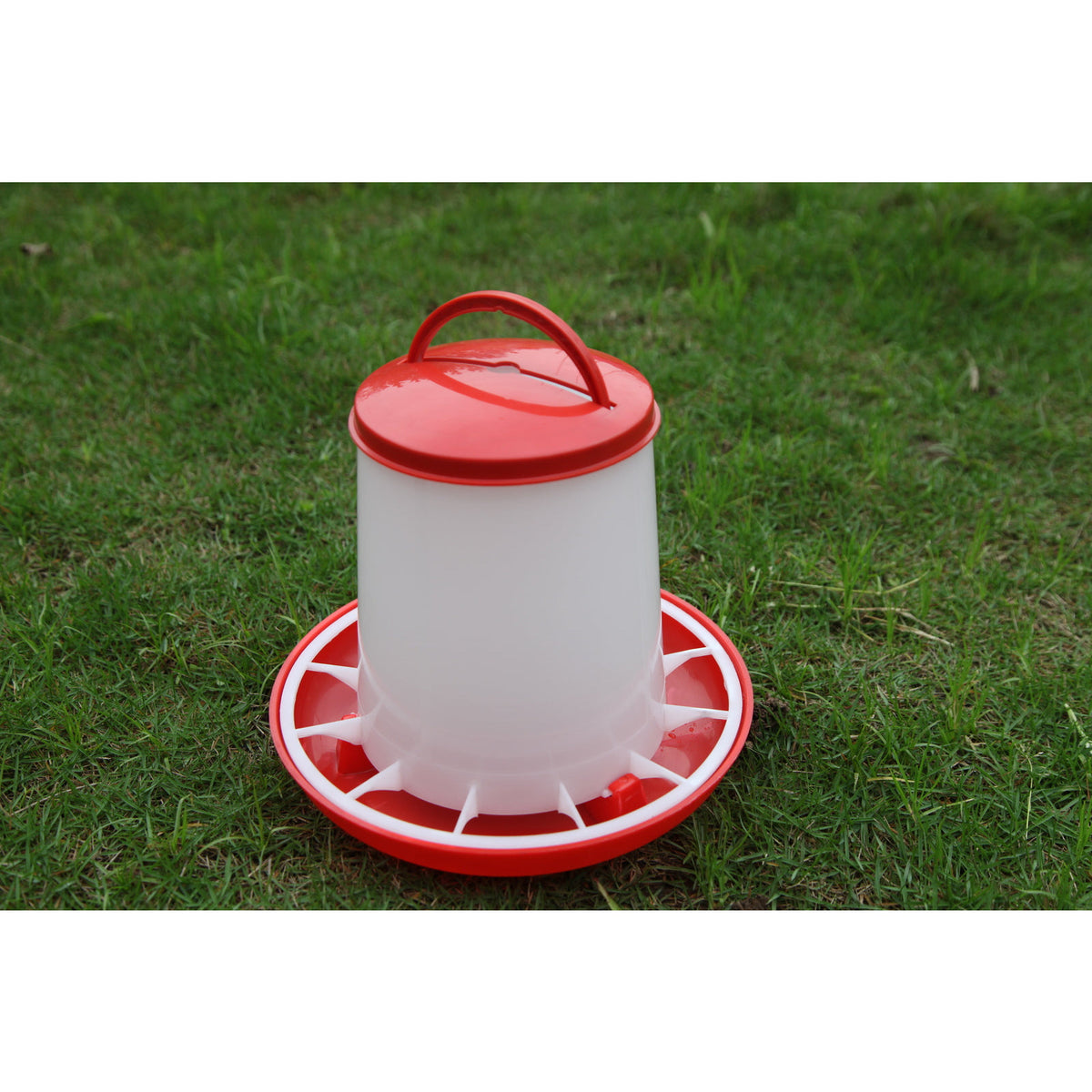 Farm Poultry Bird Chicken Water Drinker 3 L & 3 kg Food Grain Seed Feeder Set