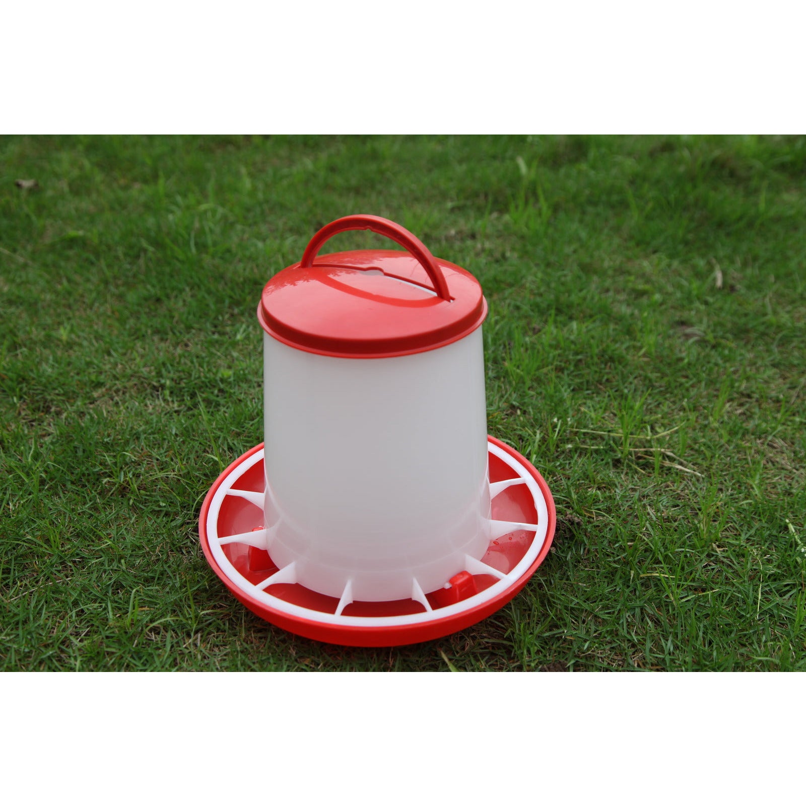 Farm Poultry Bird Chicken Water Drinker 3 L & 3 kg Food Grain Seed Feeder Set