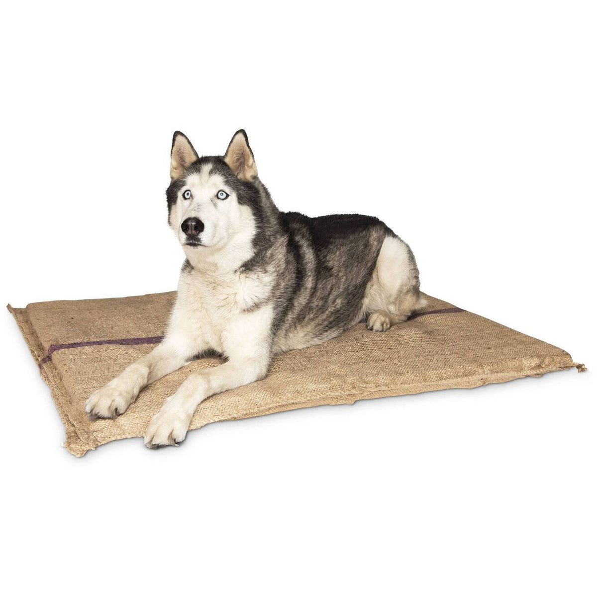 Jumbo Hessian Pet Dog Puppy Bed Mat Pad House Kennel Cushion With Foam 110 x 78 cm