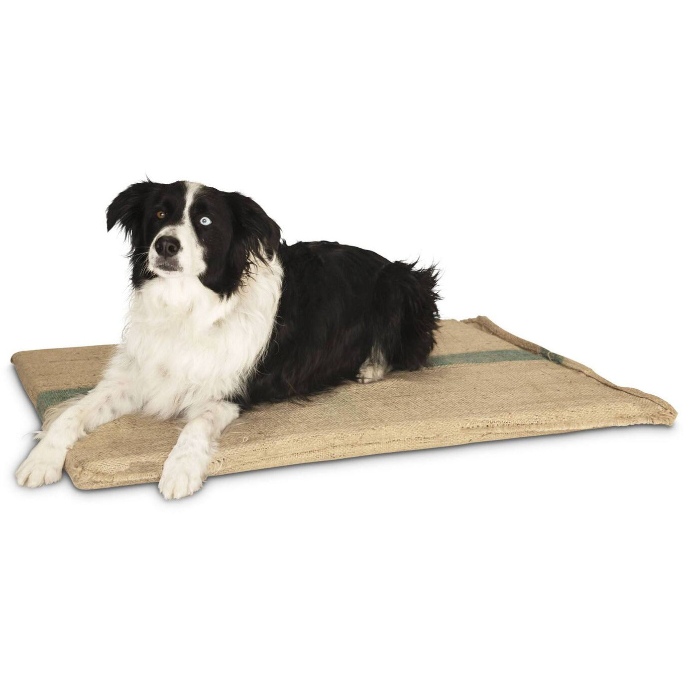 Large Hessian Pet Dog Puppy Bed Mat Pad House Kennel Cushion With Foam 100 x 69 cm