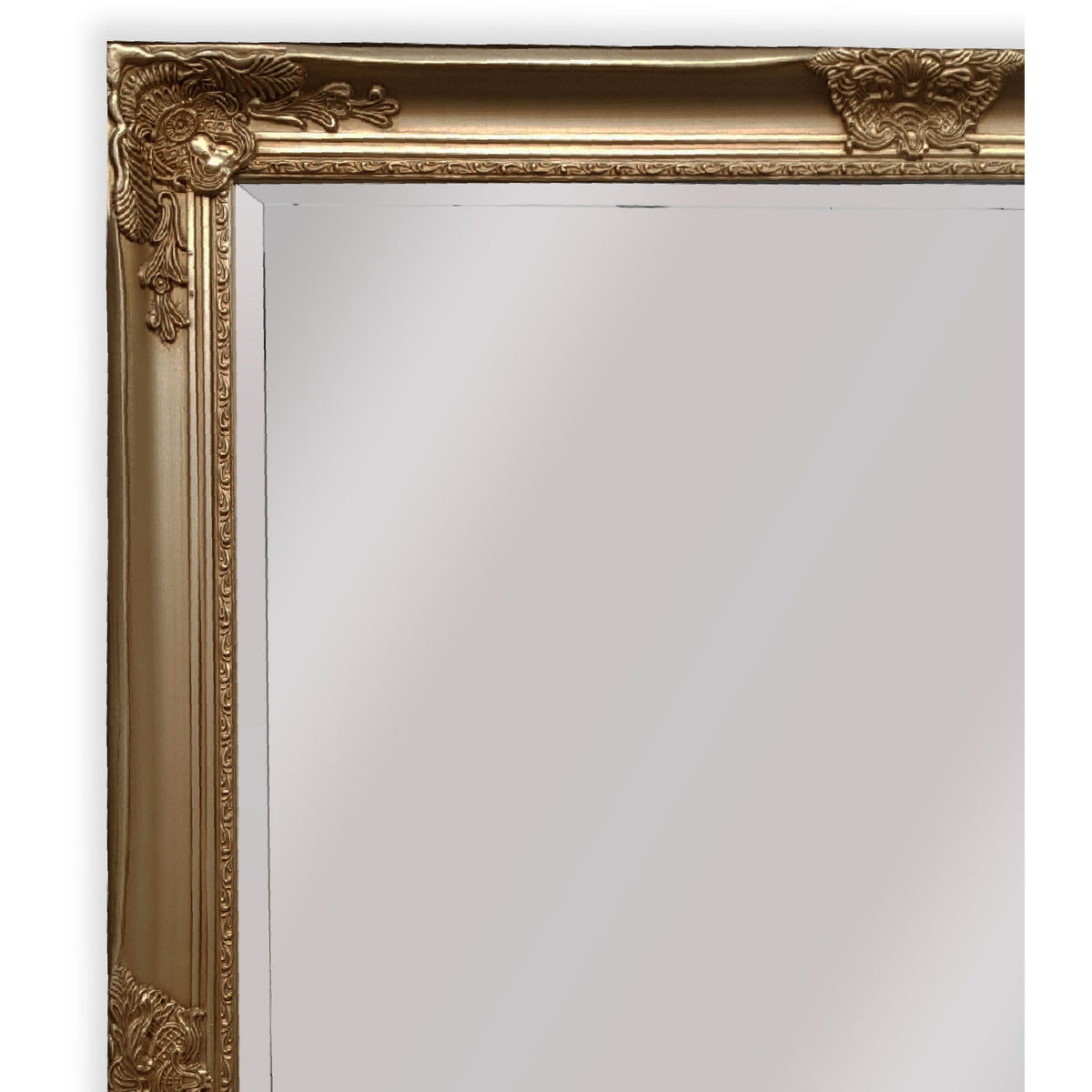 French Provincial Ornate Mirror - ANTIQUE CHAMPAGNE - X Large 100cm x 190cm