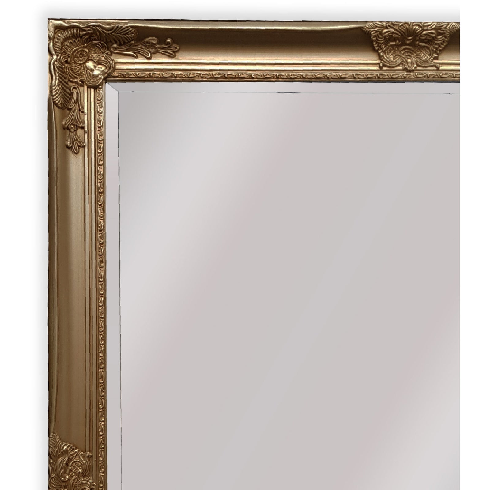 French Provincial Ornate Mirror - ANTIQUE CHAMPAGNE - X Large 100cm x 190cm