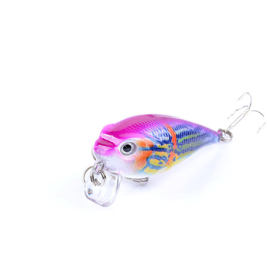 4x 5.5cm Popper Crank Bait Fishing Lure Lures Surface Tackle Saltwater