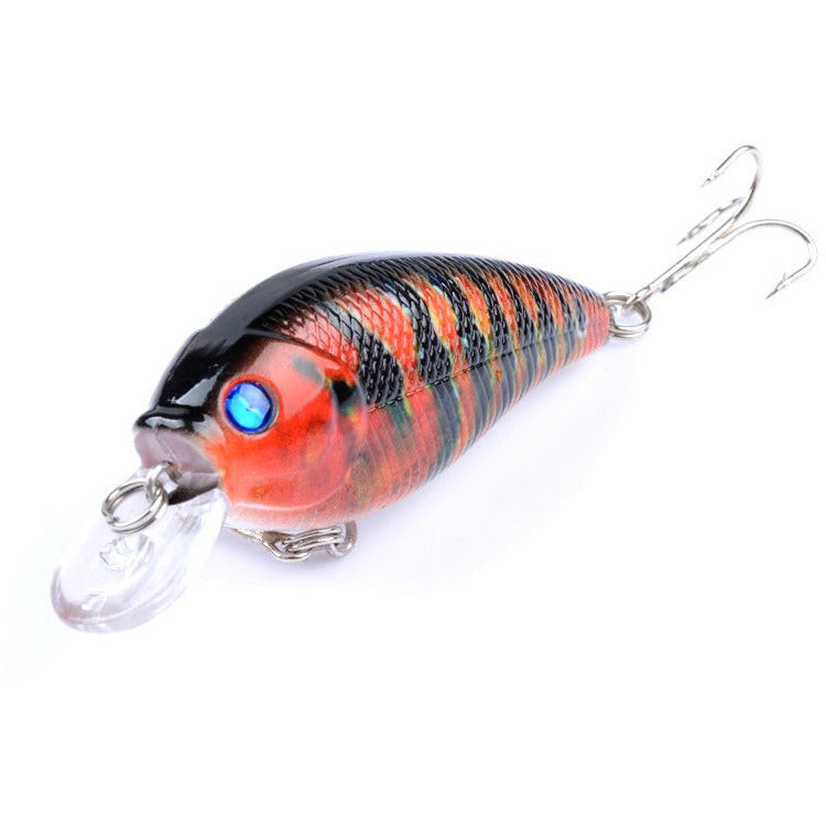 5x 7cm Popper Crank Bait Fishing Lure Lures Surface Tackle Saltwater