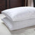 2 x King Size Pillow with free 2 x King pillow cases