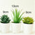 3 Pack of Artificial Succulent Potted Plants in White Plastic 6cm Pot Interior Decoration