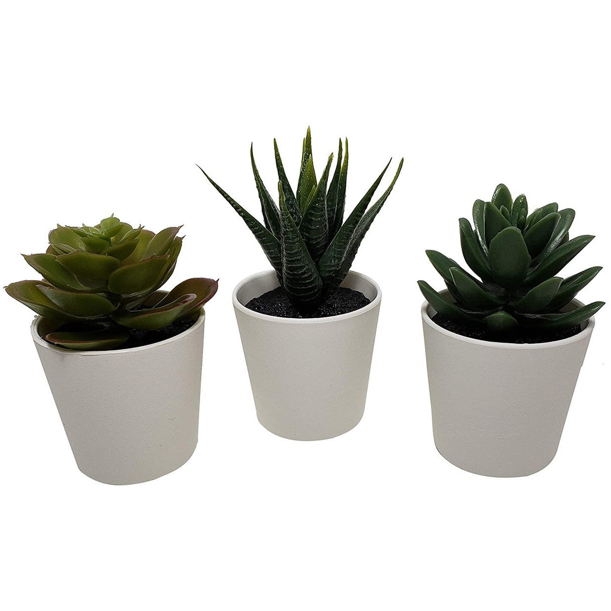 3 Pack of Artificial Succulent Potted Plants in White Plastic 6cm Pot Interior Decoration