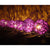 1 Set of 20 LED Cassis Purple 5cm Rattan Cane Ball Battery Powered String Lights Christmas Gift Home Wedding Party Bedroom Decoration Table Centrepiece