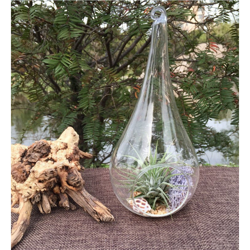 4 Pack of Hanging Clear Glass Tealight Candle Holder Tear Drop Pear Shape - 12cm High - Terrarium Plant Mini Garden Holder Decor