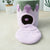 CATIO Purple Grape Cat House