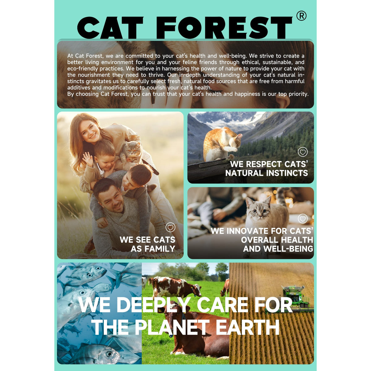 CAT FOREST Premium Tuna White Meat With Mussel In Gravy Cat Canned Food 85G X 24