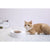 PETKIT Fresh Nano-15 Adjustable Cat Feeding Bowl -Single