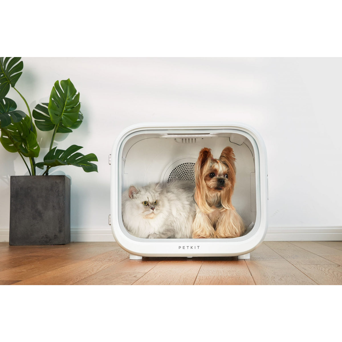 PETKIT AIRSALON Smart Pet Dryer Box