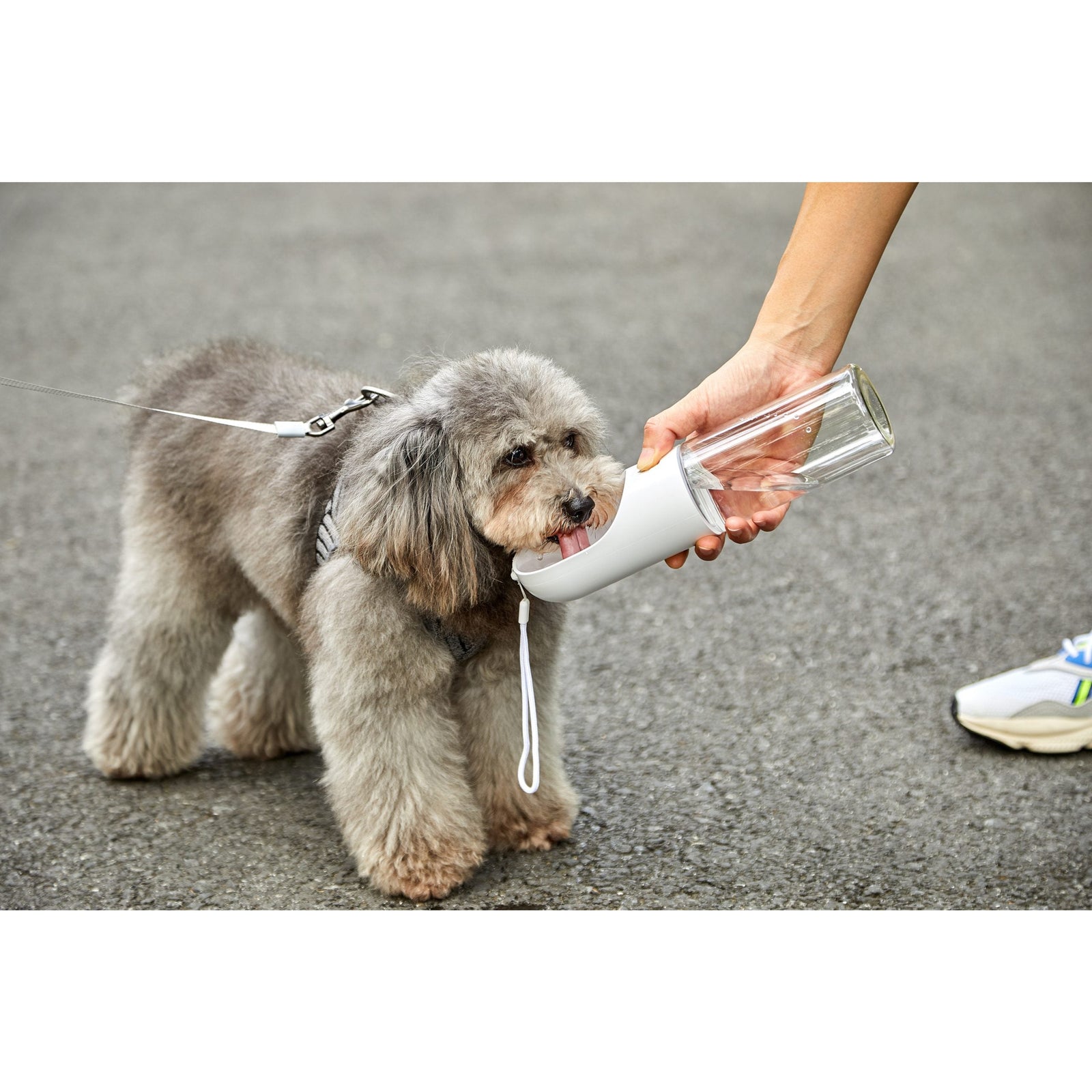 PETKIT Pet Bottle 400ml - Grey